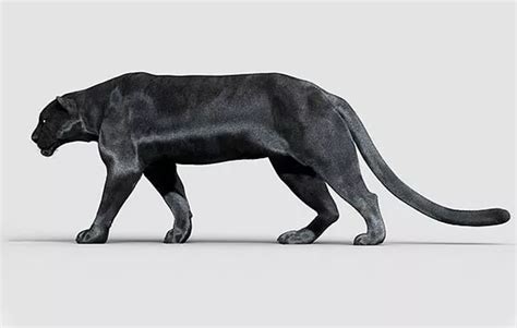 cgtrader 3d models|Buying 3D models – CGTrader Help Center.